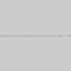 Image of Recombinant Shigella Boydii rnpA Protein (aa 1-119)